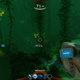 The kelp forest.